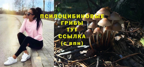 ешки Горно-Алтайск