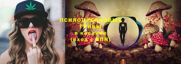 ешки Горно-Алтайск