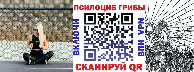 это состав  как найти закладки  Железноводск  Галлюциногенные грибы Psilocybe 